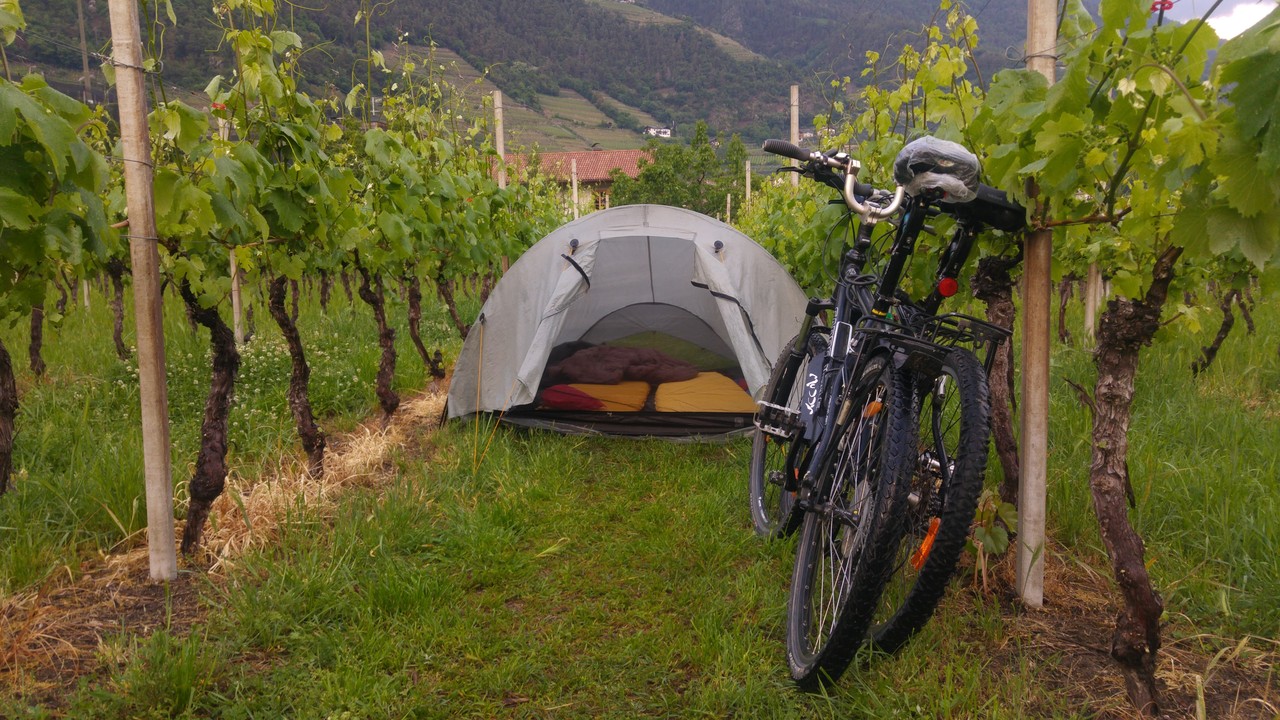 Weinberg-Camping