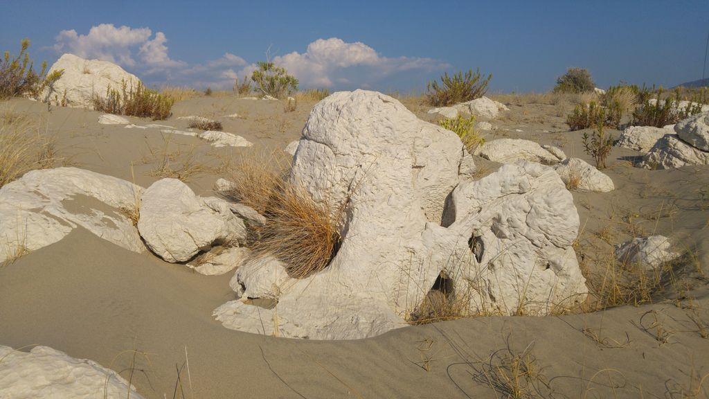 Patara