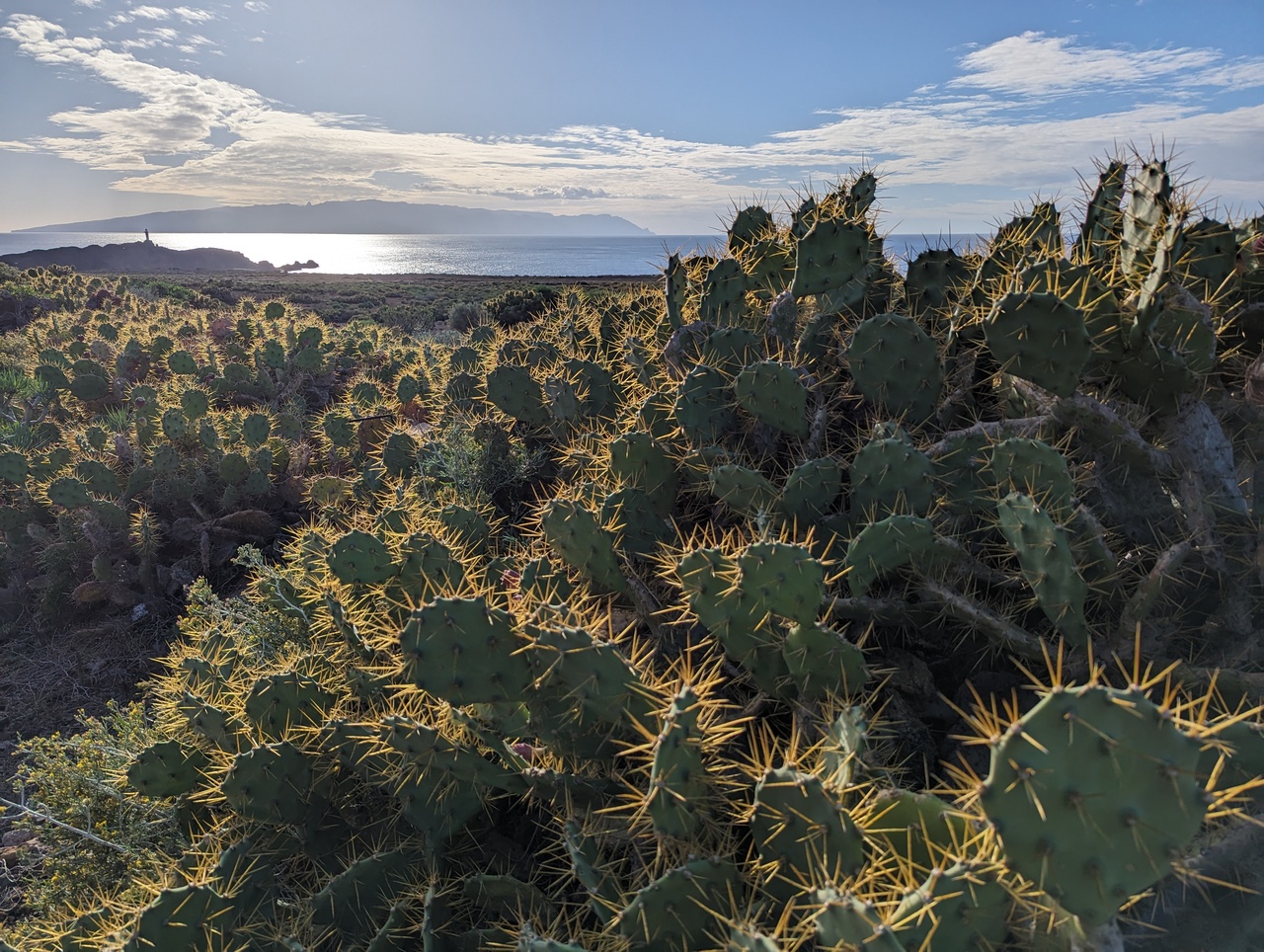 Punta del Teno - Gomerablick